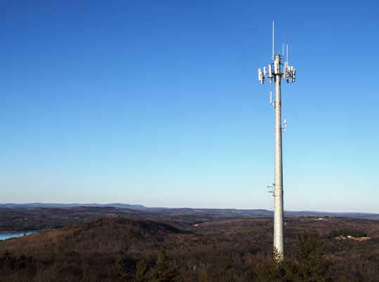 Cell tower above the trees